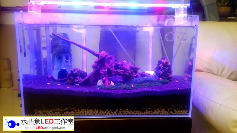 2呎(63公分) 可切換式 LED水族燈:　2呎 水草缸